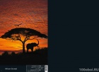  Комар фотообои. Каталог 2014 "Scenics Edition 1" - стр.016 Komar 4-501 African Sunset