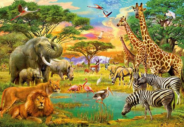 Фотообои на стену «Африка Животные» WG 00154 African animals
