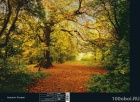 Комар фотообои. Каталог 2014 "Scenics Edition 1" - стр.076 Komar 8-068 Autumn Forest