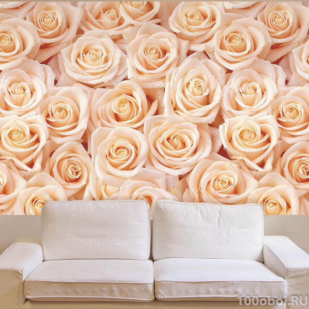 Фотообои на стену «Белые розы» SAND S-004