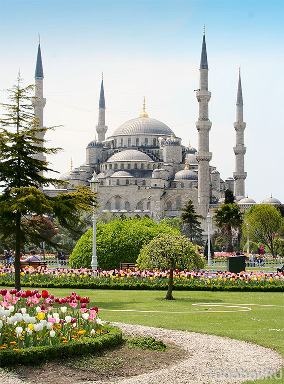 Фотообои на стену «Стамбул голубая мечеть». Divino C1-200