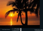 Комар фотообои. Каталог 2014 "Scenics Edition 1" - стр.088 Komar 8-255 Palmy Beach Sunrise