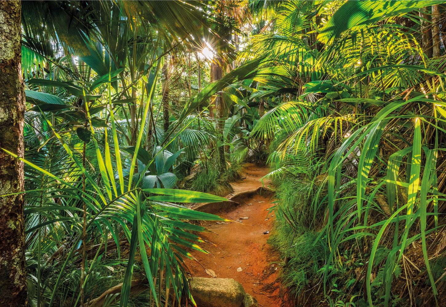 Фотообои на стену «Тропа джунглей»Komar 8-989 Jungle Trail