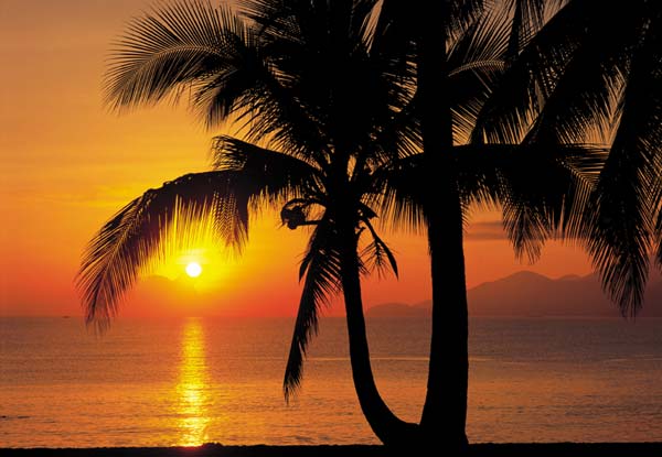 Фотообои на стену «Пальмы Море Восход». Komar 4-255 Palmy Beach Sunrise