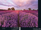 Комар фотообои. Каталог 2014 "Scenics Edition 1" - стр.078 Komar 1-615 Lavendel