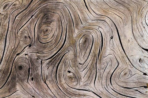 Фотообои Милан M-622 Текстура дерева