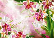Фотообои «Цветочный вальс - орхидеи»