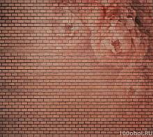Супермоющиеся фотообои АнтиМаркер 6-А-623 Красная кирпичная стена