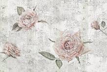Флизелиновые фотообои «Нежные лепестки розы» Komar XXL4-049 Tantinet