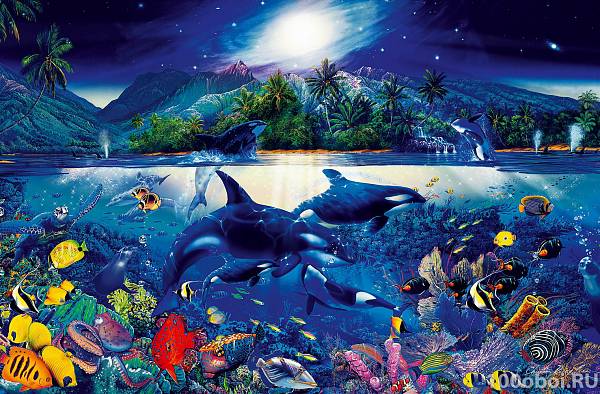 Постер XXL «Подводное царство» WG 00649 Majestic Kingdom
