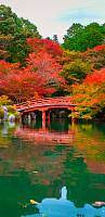 Самоклеющиеся фотообои URBAN Design UDD-044 Осенний сад в Японии