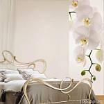 Фотообои - панно COLOR K-010 «Цветок орхидеи»