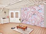 Фотообои на стену «Розовая сакура» WG 00155 Pink blossoms