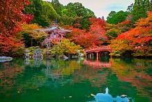 Фотообои URBAN Design UD4-179 Осенний сад в Японии