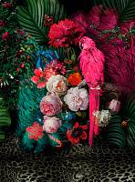 Фотообои HARMONY HD2-163 Розовый попугай