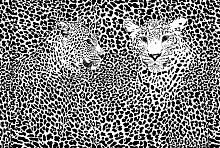 Фотообои Милан M-404 Черно-белые леопарды