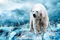 Фотообои URBAN Design UD4-204 Лед Медведь во льдах
