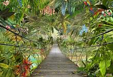 Фотообои на стену «Мост в джунглях» Komar 8-977 Wild Bridge