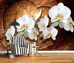 Фотообои URBAN Design UD4-090 3Д фотообои Белая орхидея на дереве