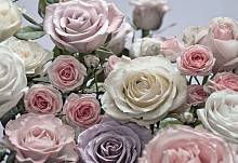 Фотообои на стену «Цветы розы» Komar 8-736 Floraison