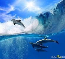 Фотообои на стену «Дельфины в волнах». Divino B1-066