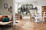 ФЛИЗЕЛИНОВЫЕ Фотообои на стену «Слон» Komar XXL4-529 Elephant
