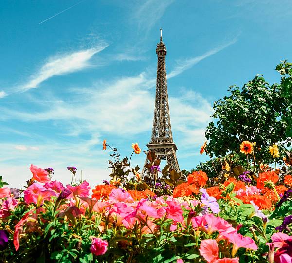 Фотообои HARMONY Decor HD3-050 Цветы Парижа