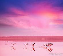 Фотообои на стену «Фламинго на закате». Divino C1-081