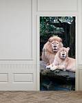Самоклеющиеся фотообои на дверь HARMONY Decor HDD-181 Семейство львов