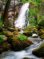 Фотообои HARMONY Decor HD2-155 Лесной водопад