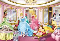 Детские фотообои на стену «Принцессы в зеркальной комнате» Komar 8-4108 Disney Princess Mirror