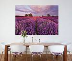 Фотообои на стену «Цветы лаванда» Komar 1-615 Lavendel