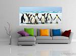 Широкоформатный постер AG 0916 «Пингвины»