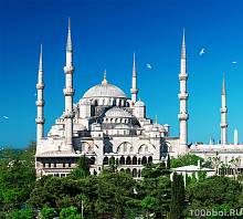 Фотообои на стену «Стамбул Голубая мечеть». Divino C1-172