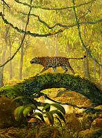 Фотообои HARMONY Decor HD2-169 Леопард в джунглях