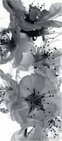 Фотообои на двери AG 0221 «Черно-белые цветы»