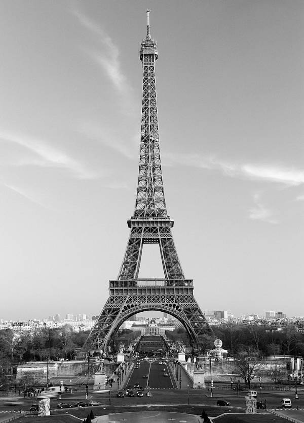 Фотообои на стену «Эйфелева башня» WG 00386 La Tour Eiffel 