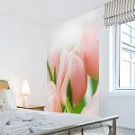 Фотообои на стену АнтиМаркер 1-А-136 Розовые тюльпаны