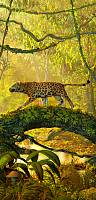 Самоклеющиеся фотообои на дверь HARMONY Decor HDD-178 Леопард в джунглях