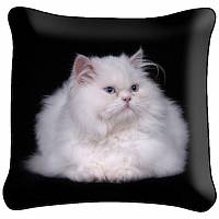 Декоративная фото подушка A5019 Белая кошка