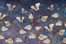 Фотообои HARMONY Decor HD4-098 Бабочки на синем фоне