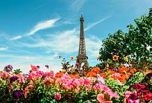 Фотообои HARMONY HD4-057 Цветы Парижа