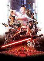 Детские фотообои на стену «Постер Фильма Звездные Войны Рей». Komar  4-4113 Star Wars Movie Poster Rey