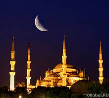 Фотообои на стену «Голубая мечеть под луной». Divino C1-168
