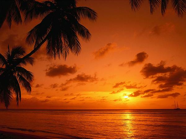Фотообои на стену «Рассвет в тропиках». Unilith 8097 Tobago Sunset