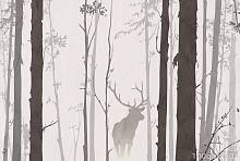 Фотообои Милан M-701 В лесу (300 x 200 см)