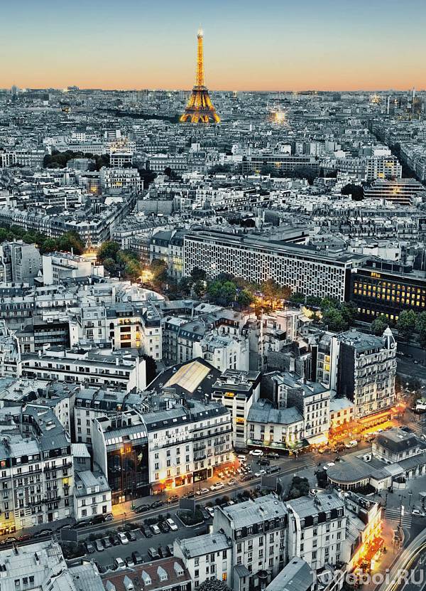 Фотообои на стену «Париж. Вид с воздуха» WG 00434 Paris Aerial View