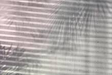 Флизелиновые фотообои «Тени на бетонной стене» Komar XXL4-059 Shadows