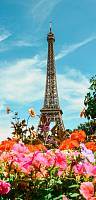Самоклеющиеся фотообои на дверь HARMONY Decor HDD-096 Цветы Парижа