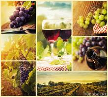 Фотообои на стену «Виноградники микс». Divino B1-033